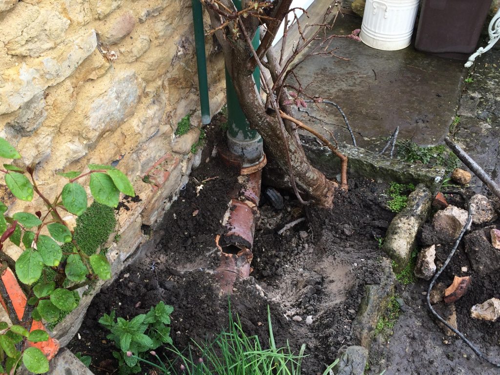 Sherborne Utilities project 64